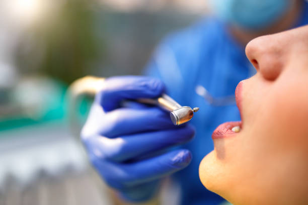  Walkerton, IN Holistic Dental Services Pros